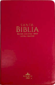 SANTA BIBLIA -CLSICA FUCSIA- (LETRA GRANDE/CANTO DORADO)