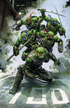 TEENAGE MUTANT NINJA TURTLES (TOMO 100/PORTADA B/METALIZADO)