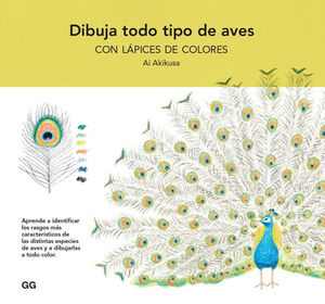 DIBUJA TODO TIPO DE AVES CON LPICES DE COLORES.