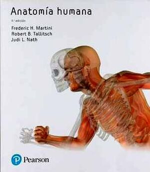 ANATOMÍA HUMANA 9ED.. MARTINI.. 9788490355640